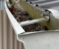 Gutter with leaves and water