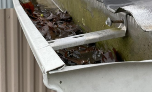 Gutter with leaves and water